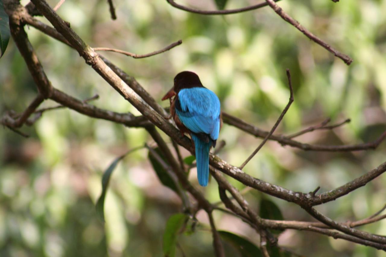 The Enchanting Nest Borim ภายนอก รูปภาพ