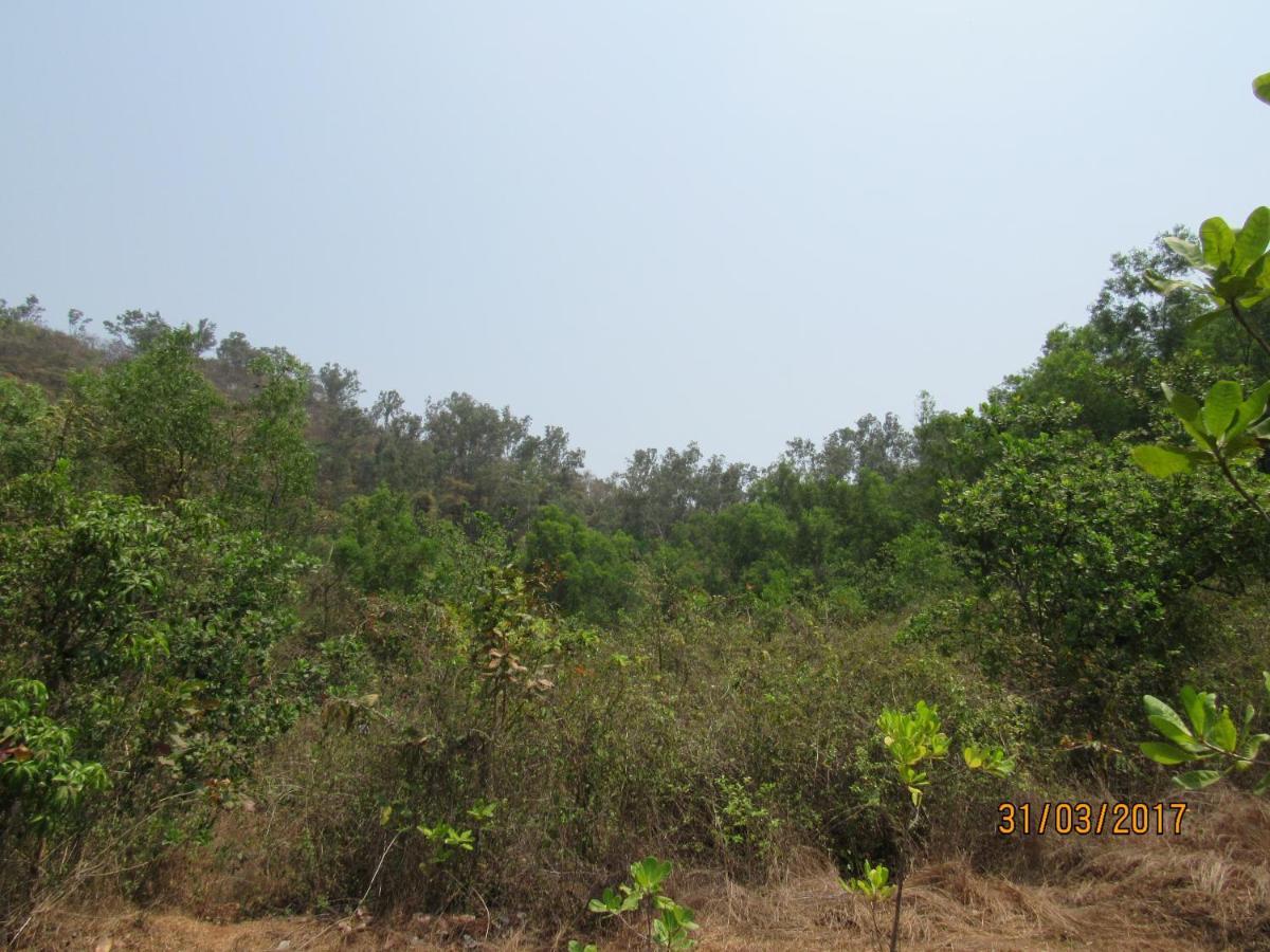 The Enchanting Nest Borim ภายนอก รูปภาพ